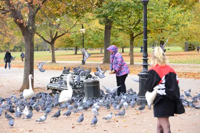 DSC_0622 (Large).JPG